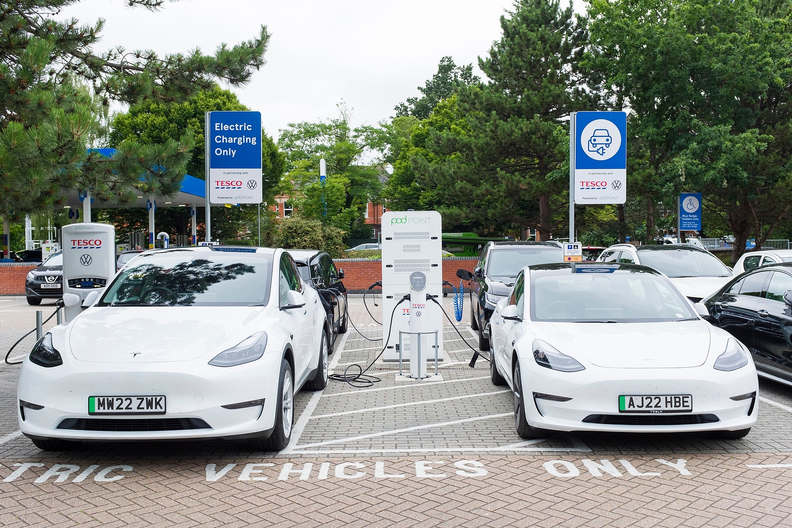 Electrician courses - Two white Tesla EV cars refuel at an electric car charging station